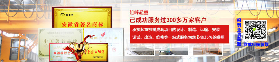 雄峰起重安徽省最大的專業(yè)起重機生產(chǎn)企業(yè)