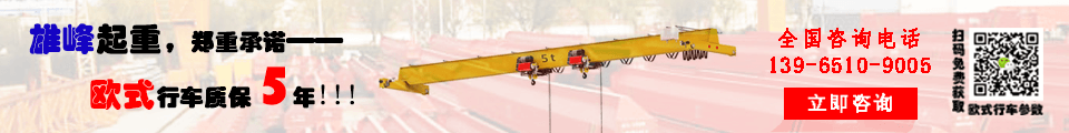 歐式起重機質(zhì)保五年