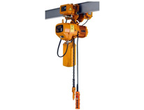 雄峰環(huán)鏈電動葫蘆